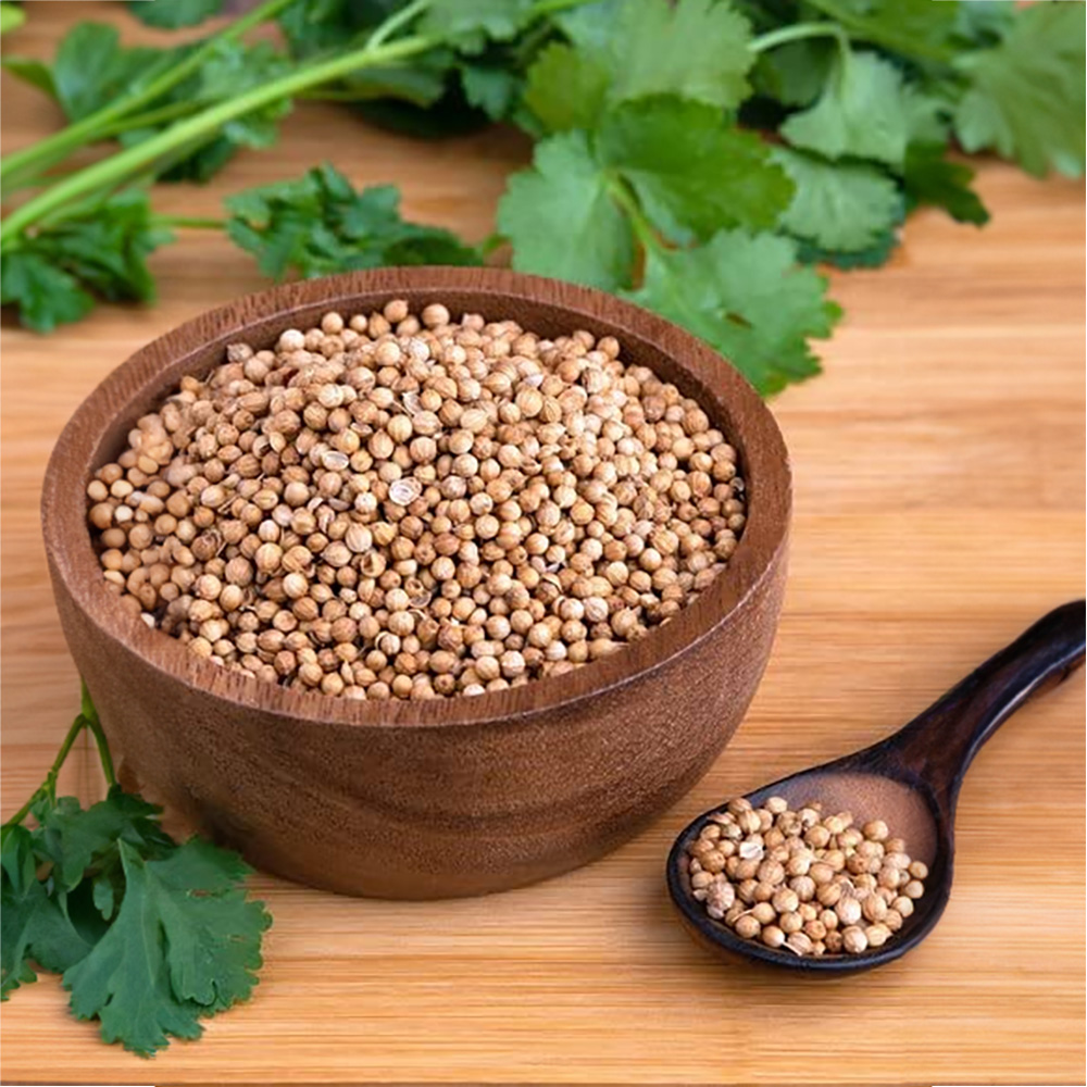 Coriander Seeds